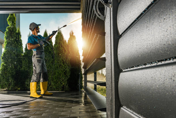Best Soft Washing for Delicate Surfaces in Paoli, IN